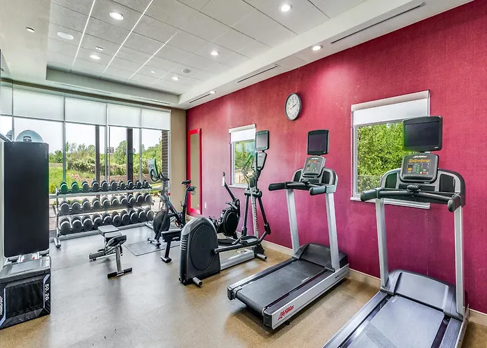 Hotel Home2 By Hilton Worth Arlington West 3*